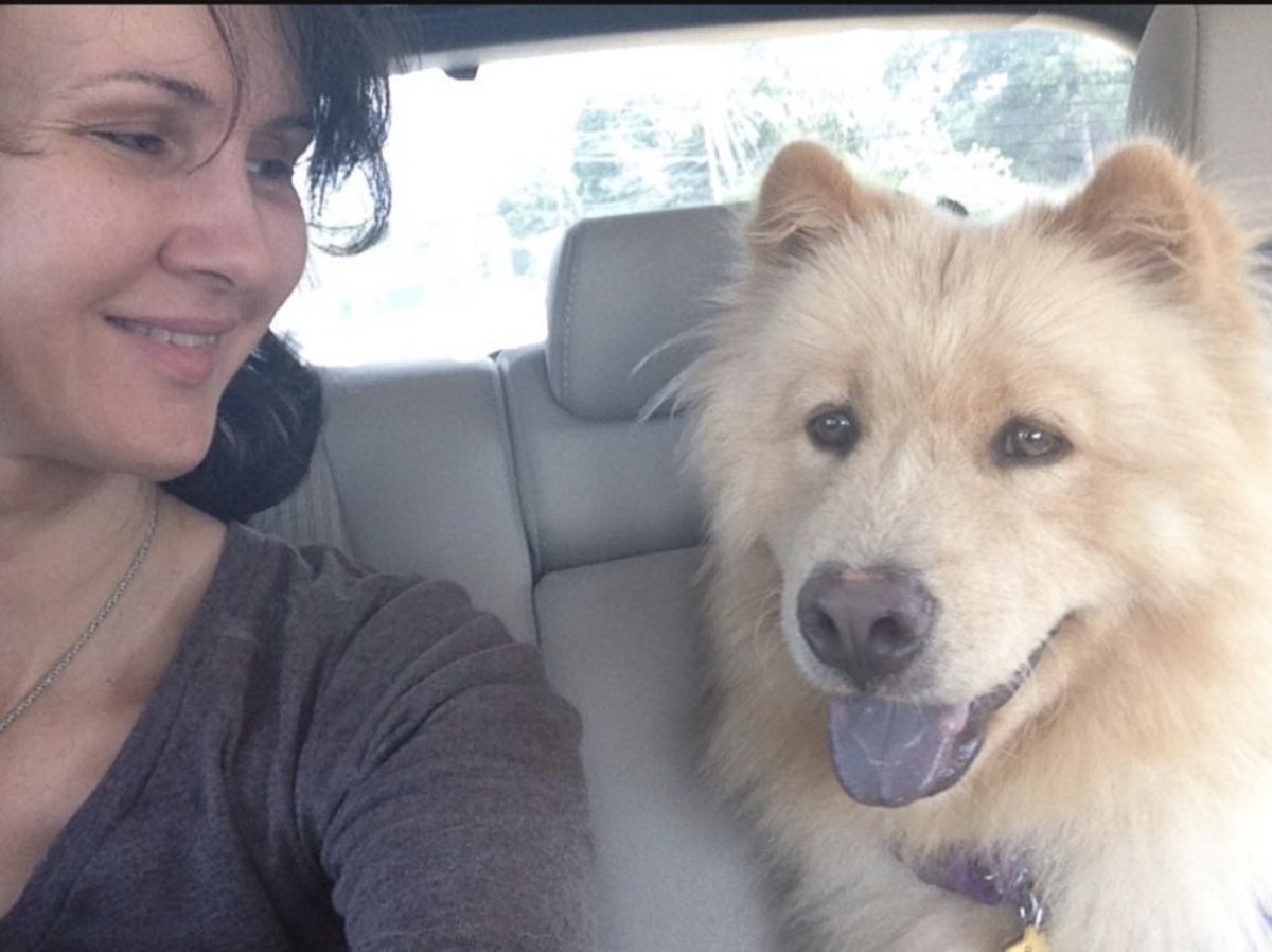 Buddy in the car with Alexandra